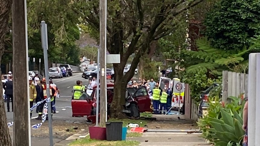 Teenager Killed in Horror Crash on NSW Mid North Coast second image