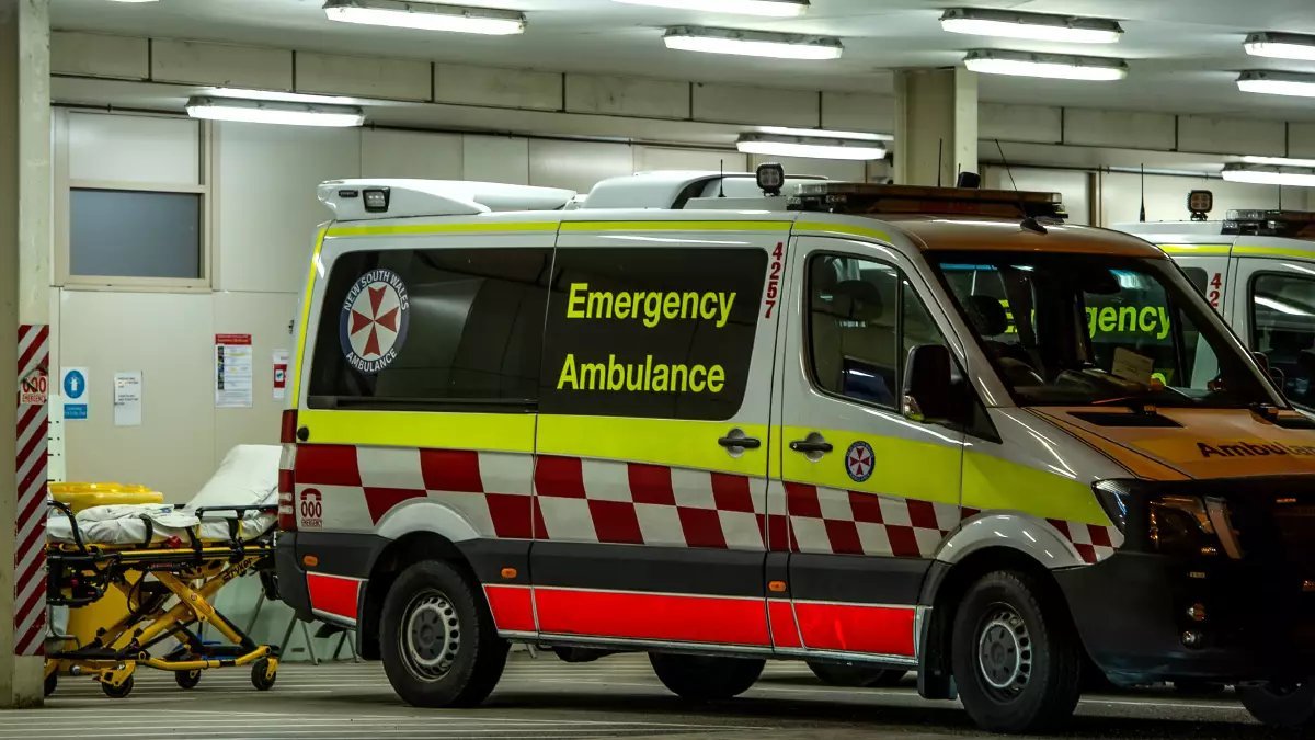 Dog Attack Horror Boy and Couple Mauled by Killer NSW Mastiff - Second Image