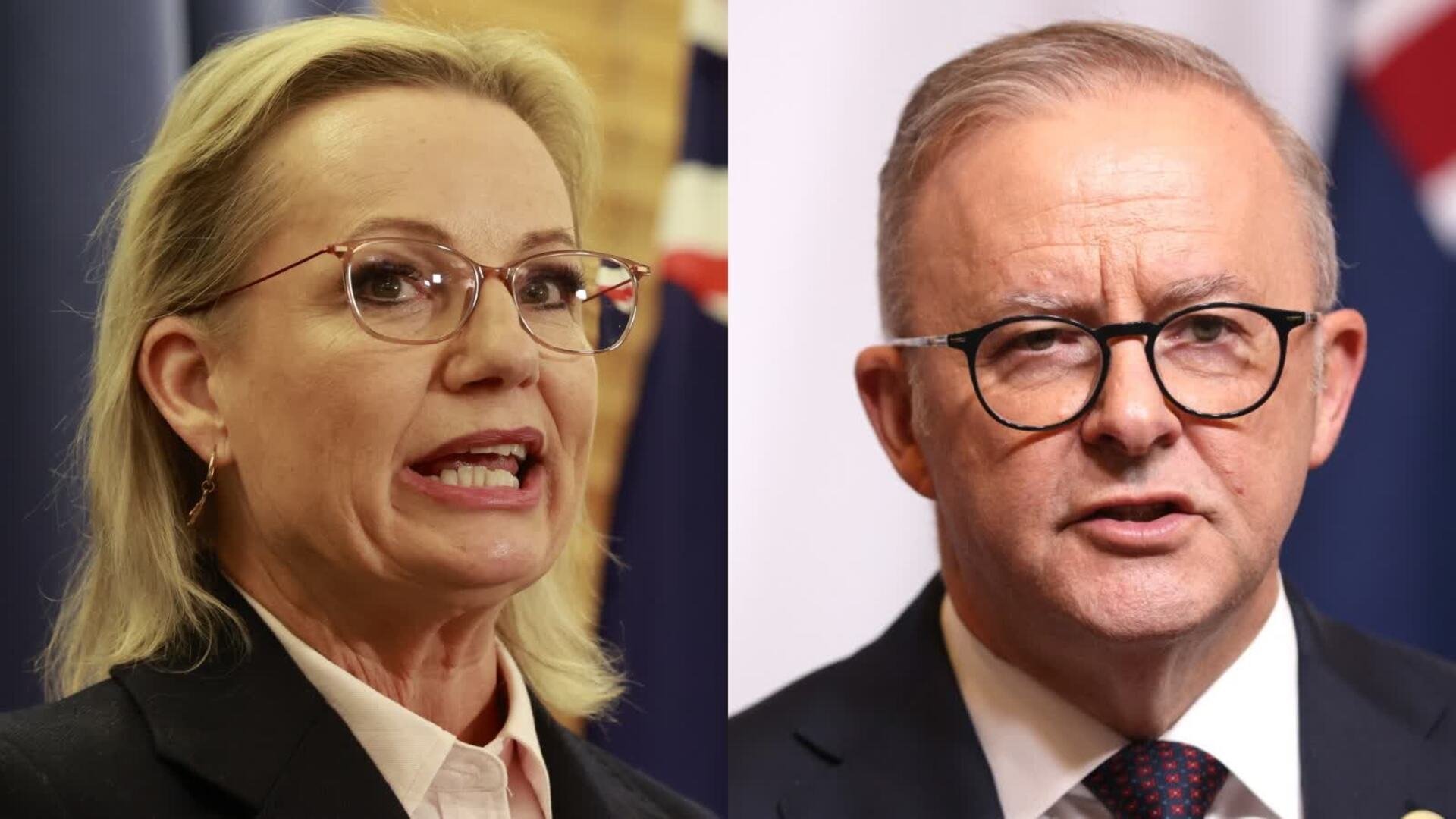 Bondi Bloodbath 15 Dead in Antisemitic Terror Attack second image