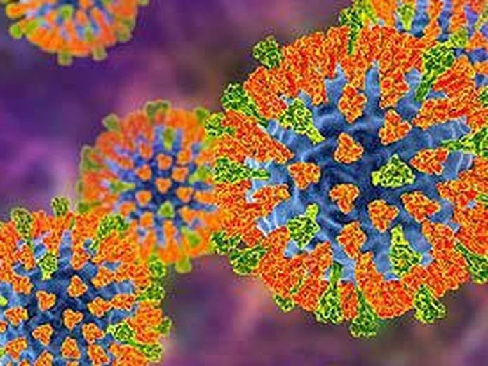 Measles Epidemic Grips Sydney as Infected Traveller Unleashes Virus Chaos - Second Image