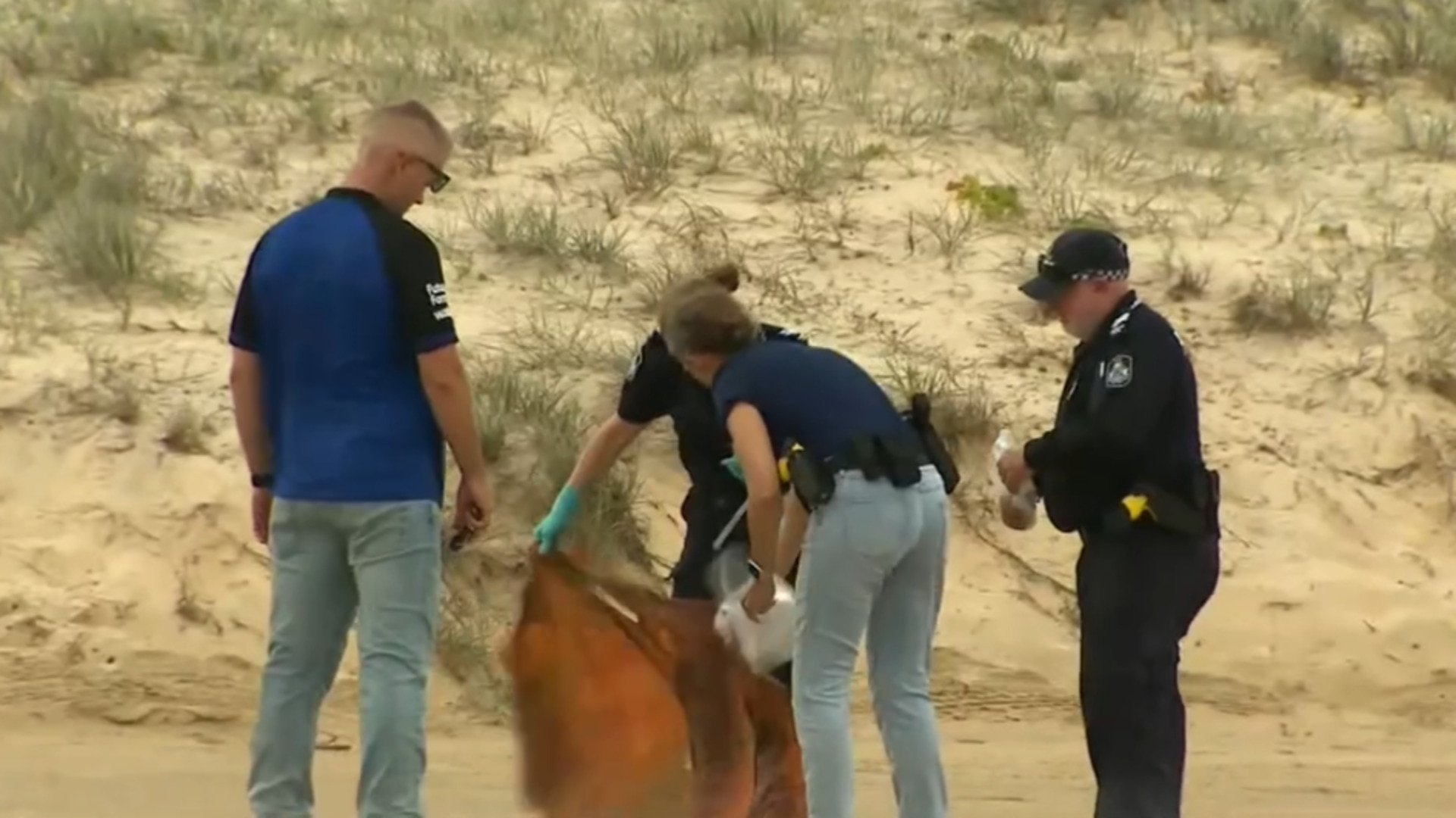 Tragedy Strikes NSW South Coast Two Fishermen's Bodies Found in Horror Discovery - Second Image