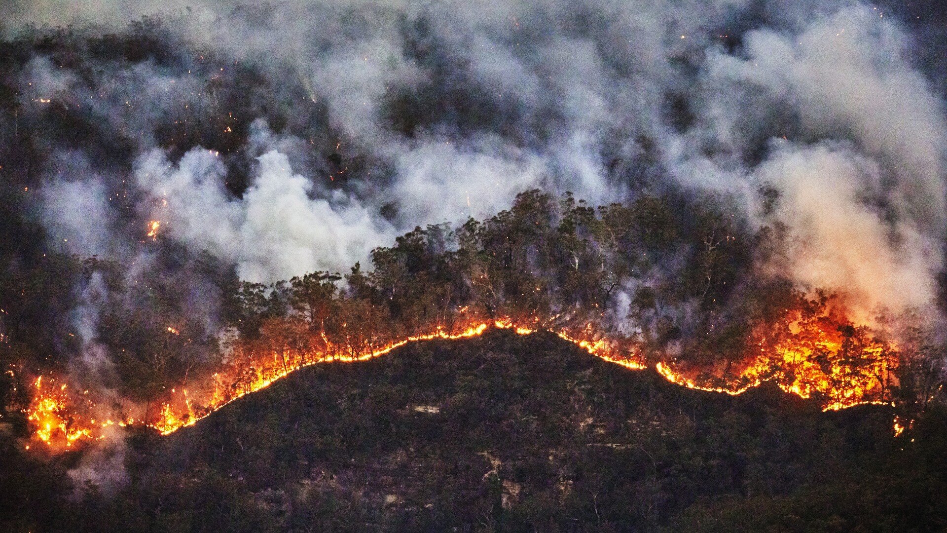 Catman's Desperate Fight to Save CatCave from Inferno - Second Image