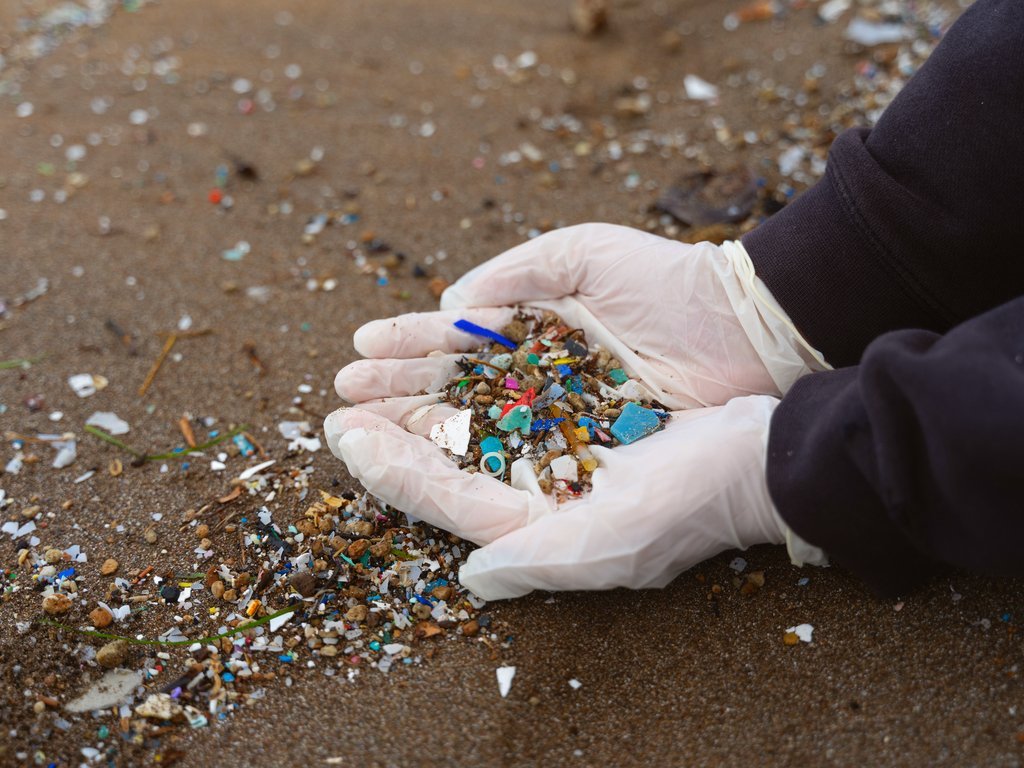 SYDNEY'S WATERWAYS CHOKE ON 1,000 TOXIC MICROPLASTICS PER SQUARE METRE! - Second Image