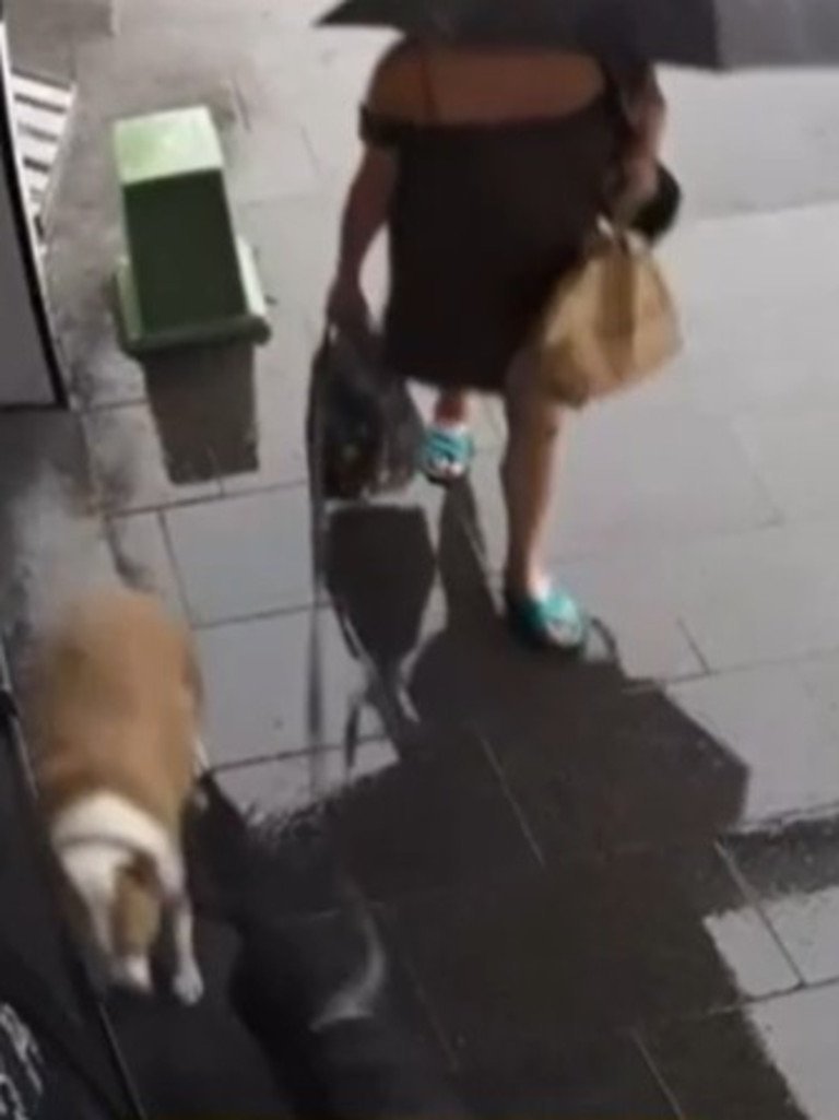 Electrified Manhole Cover Horror Woman Rushed to Hospital After Dog's Shock Death - Second Image