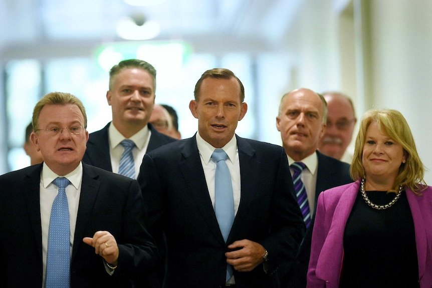 TONY ABBOTT SLAMS Sussan Ley, Backs Rival in Shocking Leadership Coup - Second Image