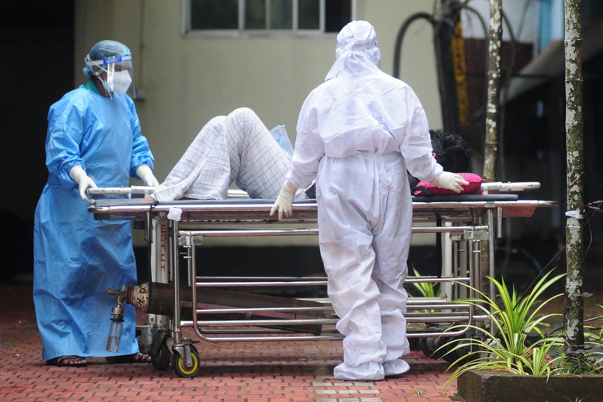 Deadly Nipah Virus Erupts Across Asia, Spreads Fear to Australia - Second Image
