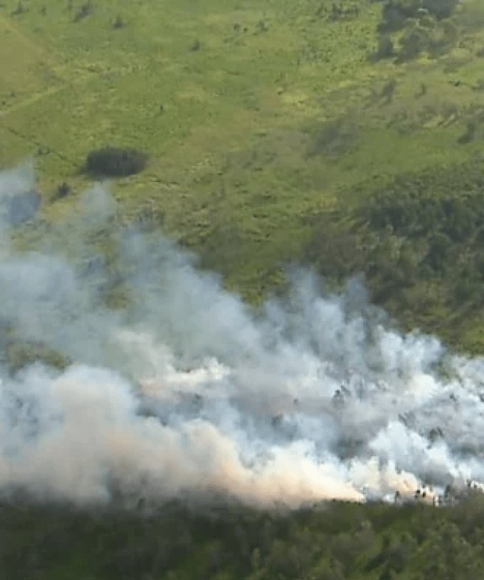 Tragedy Strikes Gold Coast Two Men Killed in Light Plane Crash Blaze - Second Image