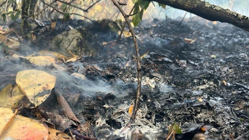 Riverland Man, 49, Charged with 10 Counts of Intentionally Sparking Devastating Blazes - Second Image