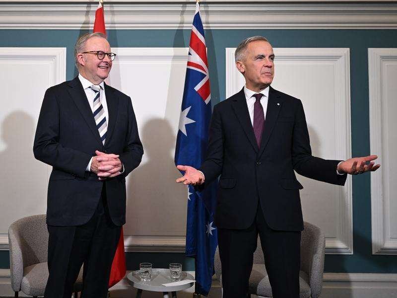 Australia Trapped China's Stranglehold on Critical Minerals Sparks Crisis - Second Image