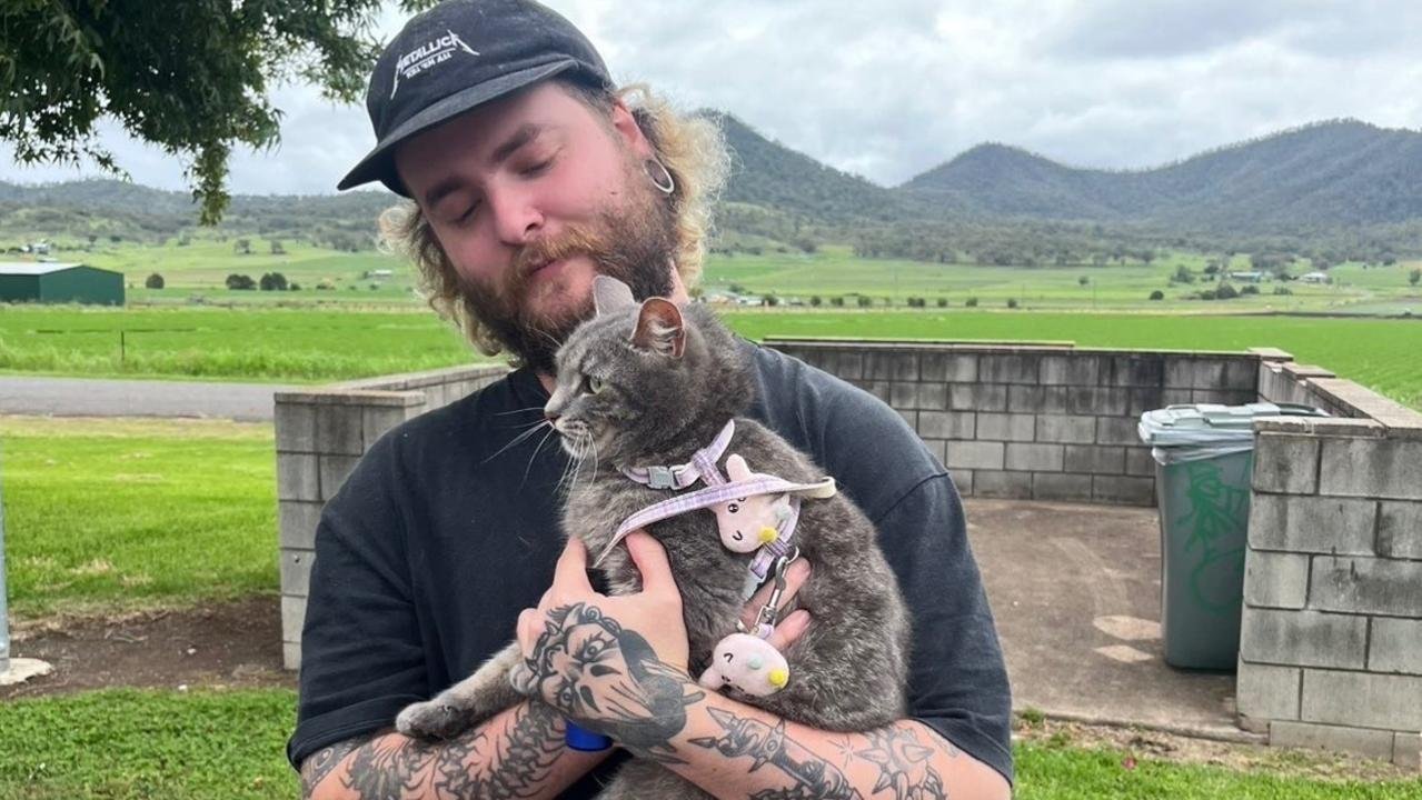 Truck of Terror Unleashes Bloody Mayhem on Bruce Highway, Claims Young Life - Second Image