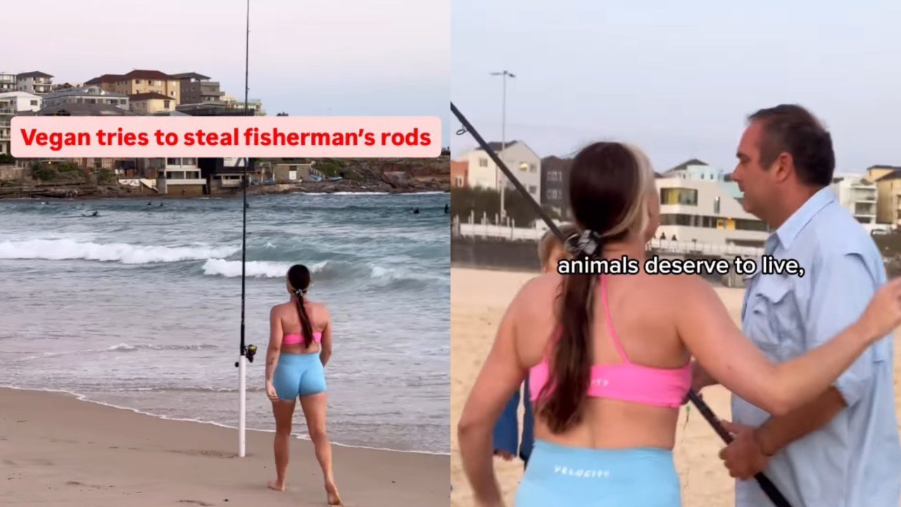Vegan Activist Sparks Fury After Seizing Fishermen's Rods at Bondi Beach - Second Image