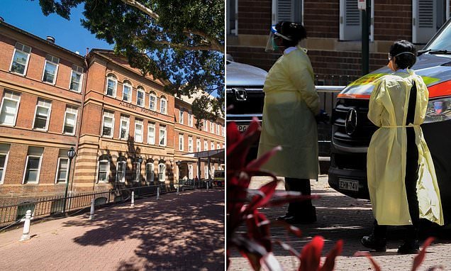 Killer Mould Epidemic Rocks Sydney Hospital Three Dead, Four Fighting for Life - Second Image