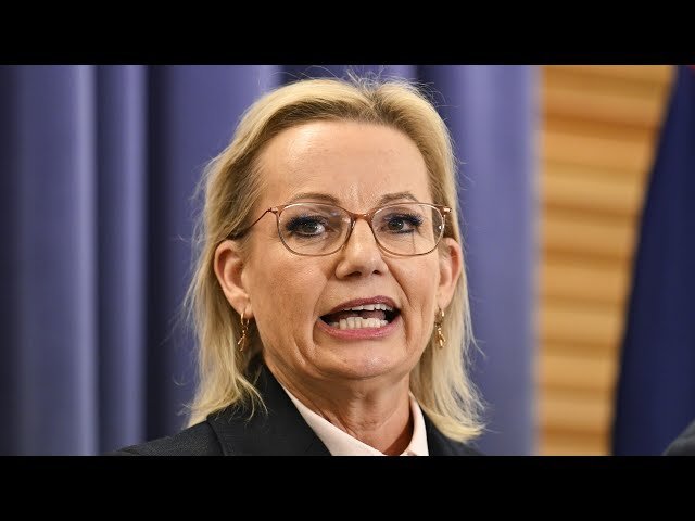 Migrants Who Reject Aussie Values Face Deportation Under New Crackdown - Second Image