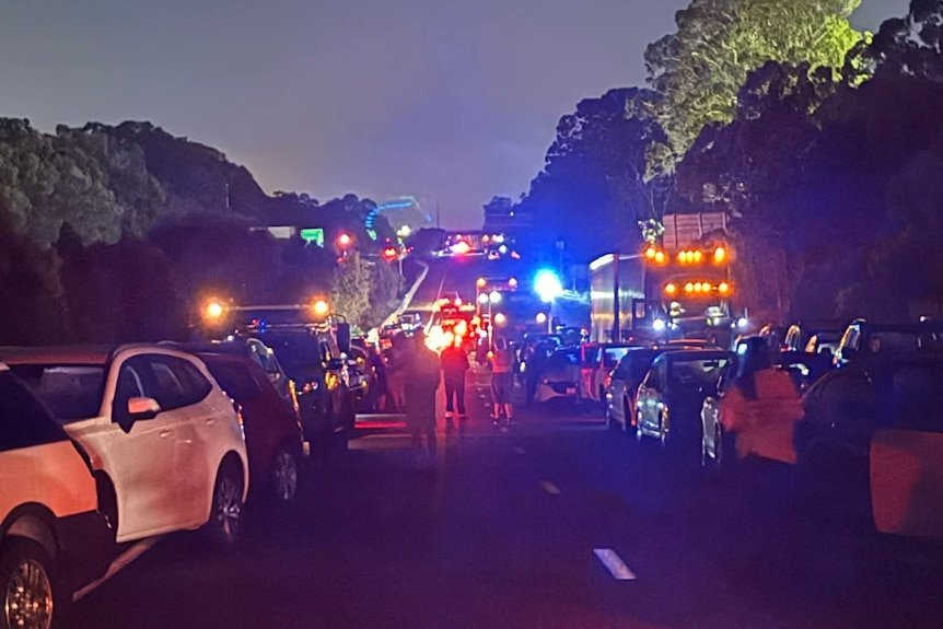 Truck Travelling Wrong Way Kills 26-Year-Old in Head-On Crash on Bruce Highway - Second Image