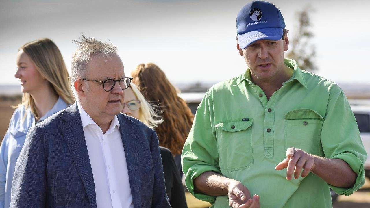 EU Trade Deal Sparks Fears of Aussie Dairy Farming Bloodbath - Second Image