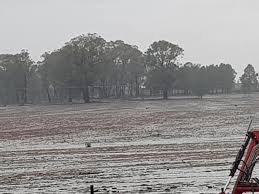 Torrential Rain Brings Hope to Drought-Stricken Scone - Second Image