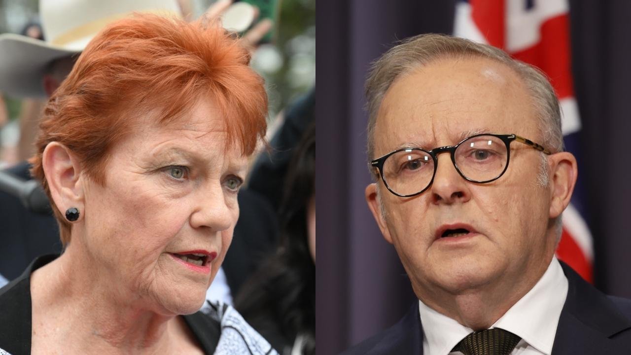 Albanese Slams Door Shut on ISIS Brides in Desperate Bid to Stem One Nation Rise - Second Image