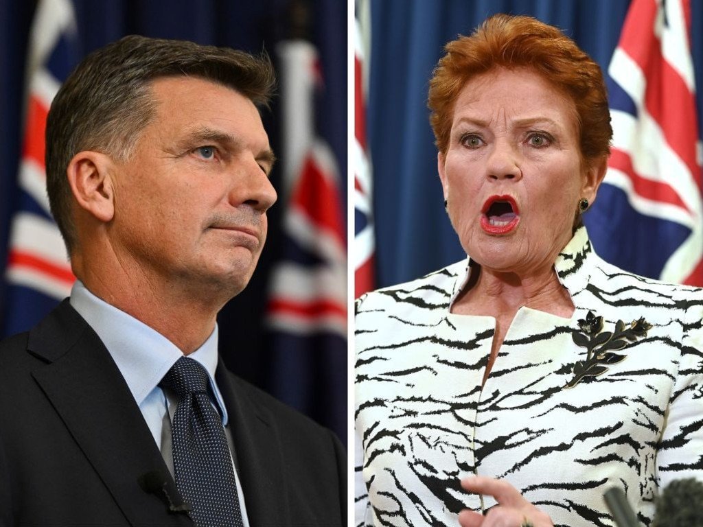 Liberal Party Lurches to Right with Brutal Immigration Crackdown - Second Image