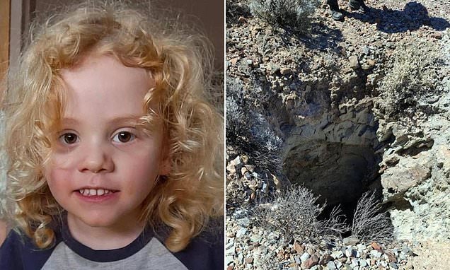 Desperate Search for Missing Toddler Gus Lamont Grips South Australia! - Second Image