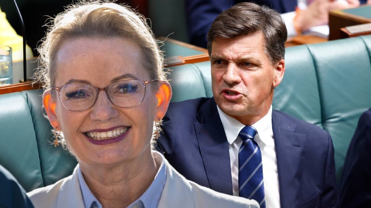 Liberal Party Plunges into Chaos as Angus Taylor Takes Reins - Second Image
