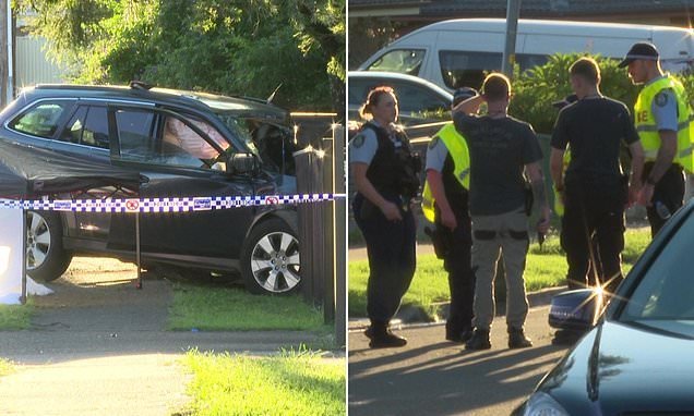 One Dead, Five Injured, Including Two Toddlers, in Sydney Horror Crash - Second Image
