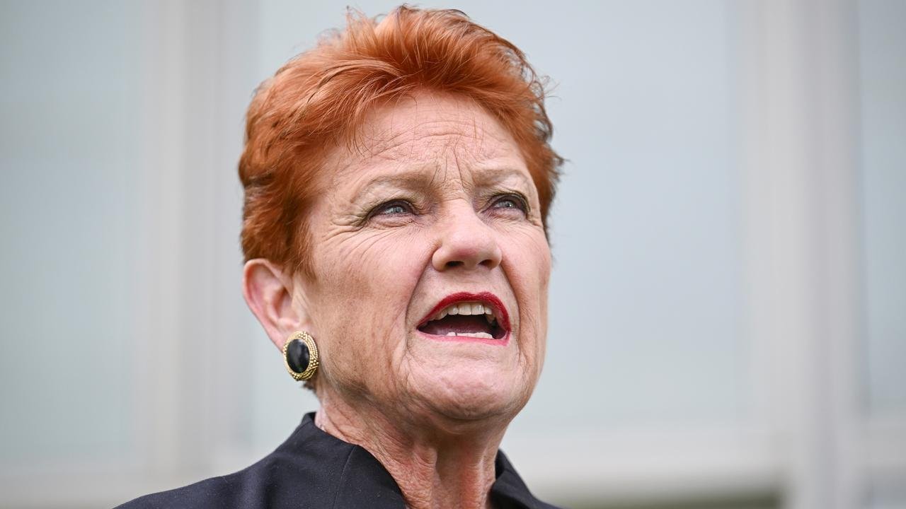 One Nation Unleashes Fury with Shock Plan to Slash Immigration by 30%! - Second Image