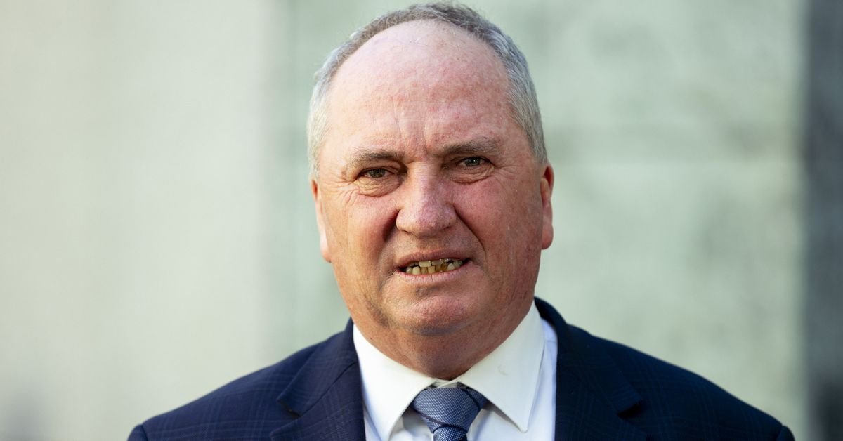 ONE NATION SURGE Barnaby Joyce Hails "Authentic Opposition" in Aussie Politics - Second Image