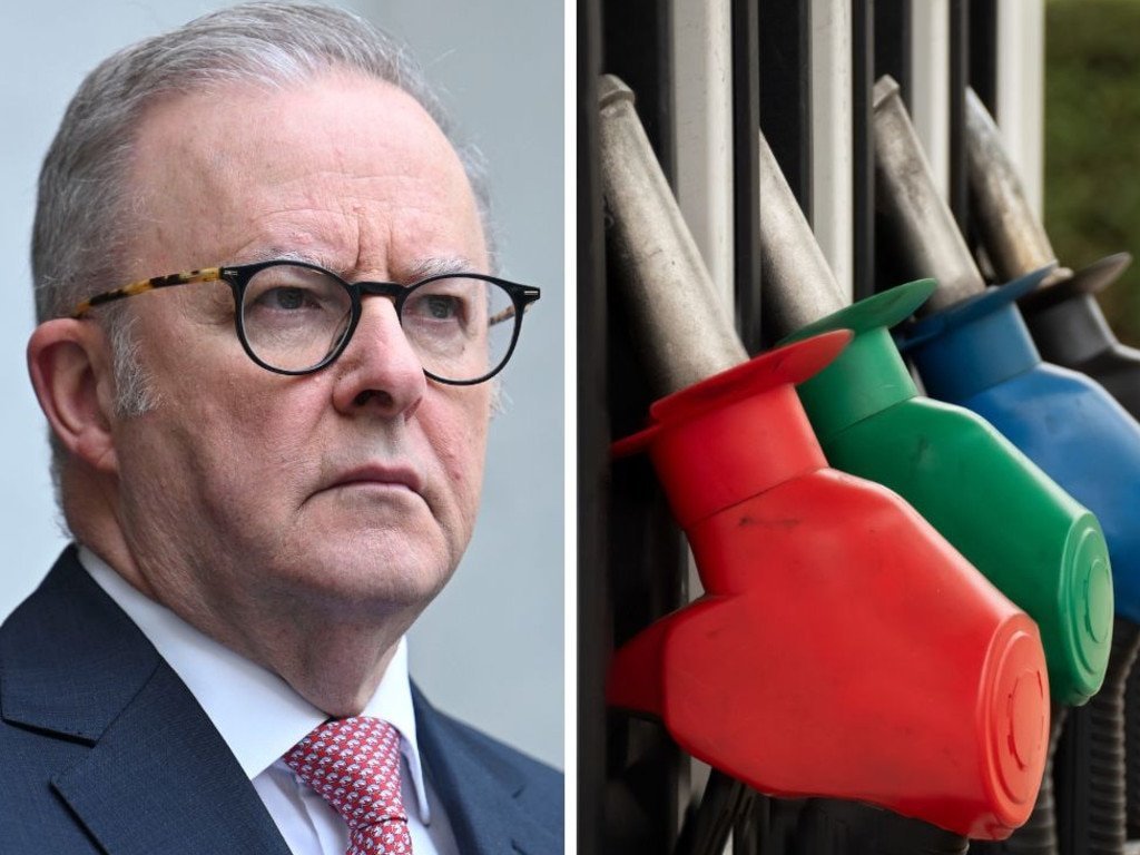 Car Giant Axes Two Models Amid Albo’s Strict Emissions Targets