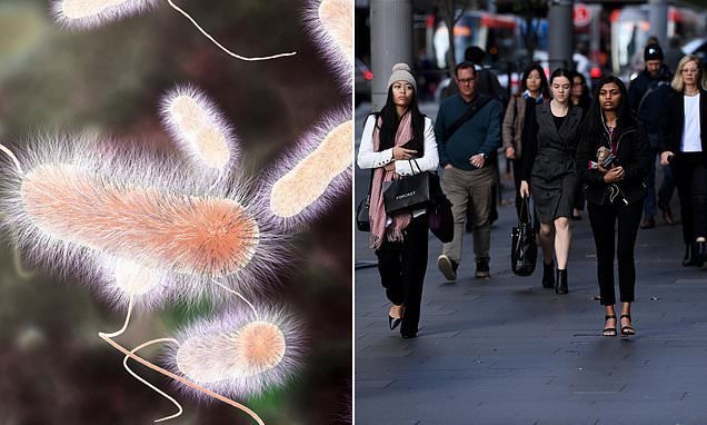Measles Epidemic Spreads Across Australia National Health Crisis Fears Grow! - Second Image