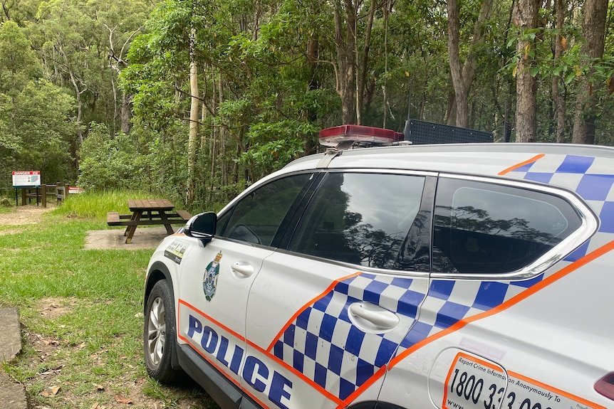 Tragedy on the Mountain Young Woman Dies, Man Clings to Life After 100m Fall - Second Image
