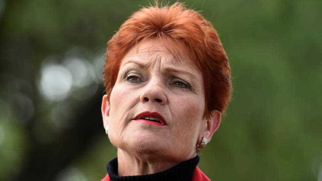 Hanson's One Nation Party Stuns with 22% South Australia Vote Surge - Second Image