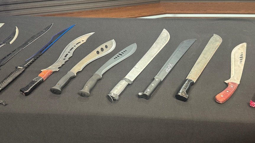 Melbourne Teeters on Brink of Chaos as Machete Mayhem Spirals Out of Control - Second Image