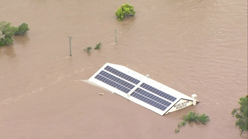 CROCODILES ROAM STREETS AS NT FLOODING HITS CATASTROPHIC LEVELS - Second Image