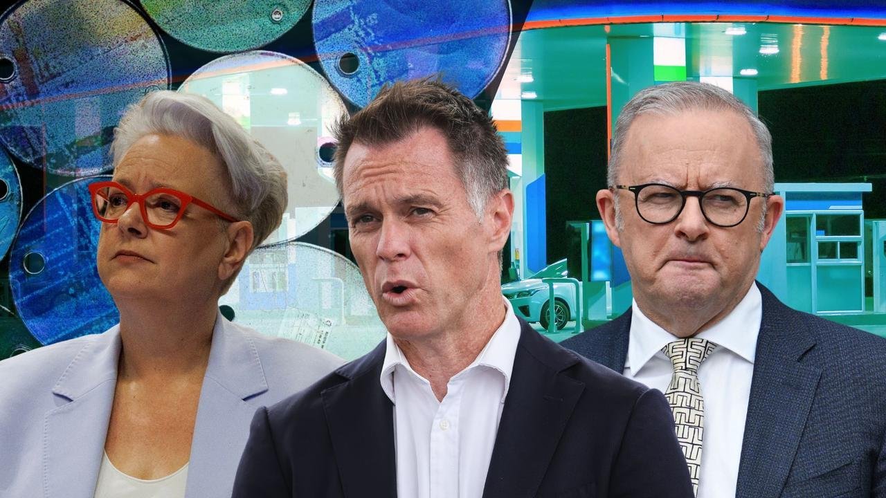 NSW Premier Calls for Electric Revolution Amid Petrol Price Crisis - Second Image
