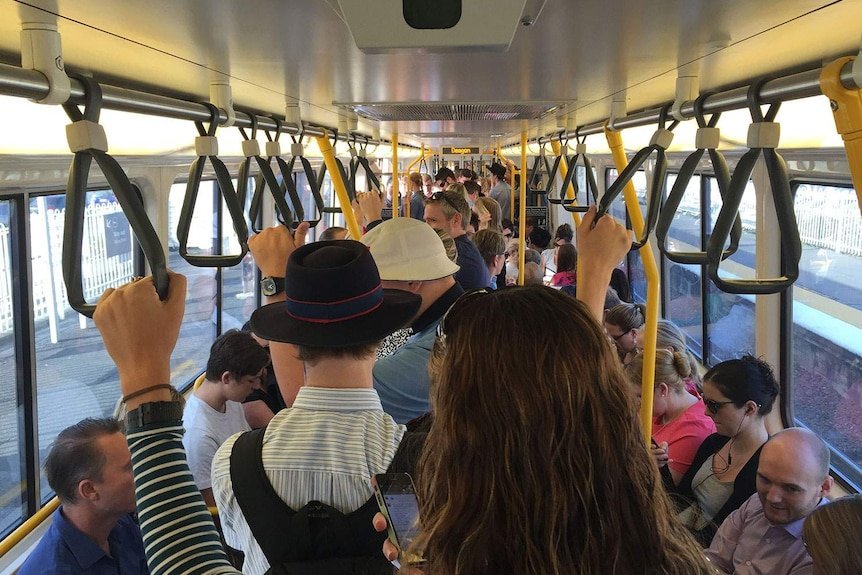 Tasmania Unleashes Free Transport Frenzy Amid Fuel Crisis Chaos - Second Image