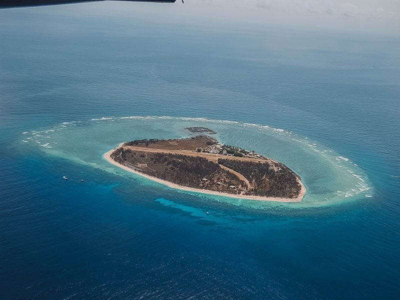 Shark Attack Horror Tourist Mauled on Idyllic Great Barrier Reef Island - Second Image