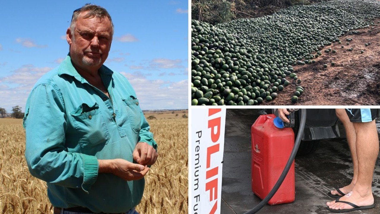 Diesel Thieves Wreak Havoc on Rural NSW Amid Oil Price Crisis - Second Image
