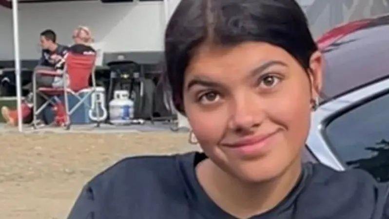 Dingo Pack Kills Canadian Tourist on Australian Beach in Bloody Attack - Second Image