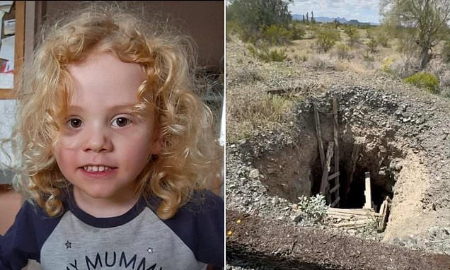 Desperate Search for Missing Toddler Gus Lamont Ends in Heartbreak - Second Image