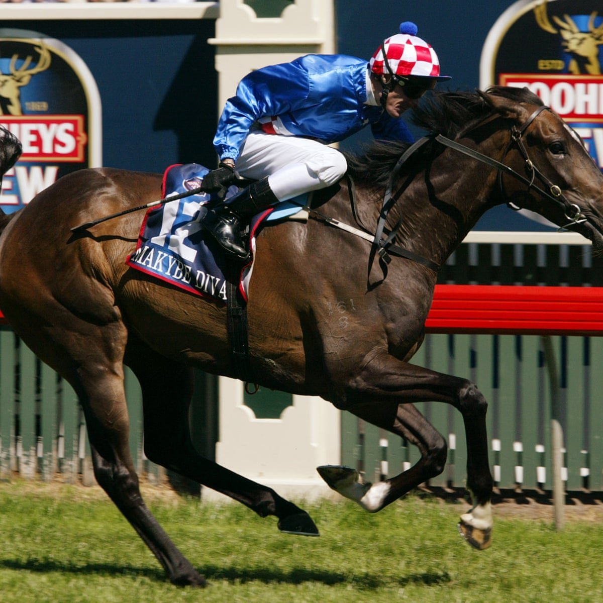 Makybe Diva Dies Suddenly Aged 26 Racing Mourns Unstoppable Force - Second Image