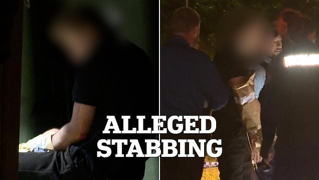 Son Brutally Kills Mother in NSW Home