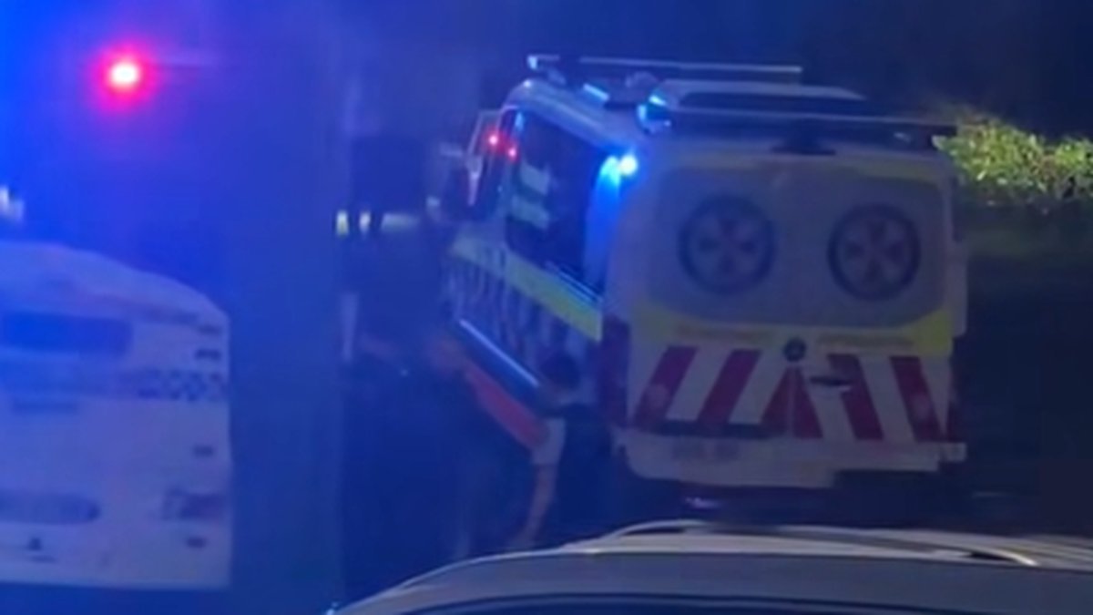 Bloody Stabbing Rampage in Sydney's West Claims Life of Man, 50 - Second Image