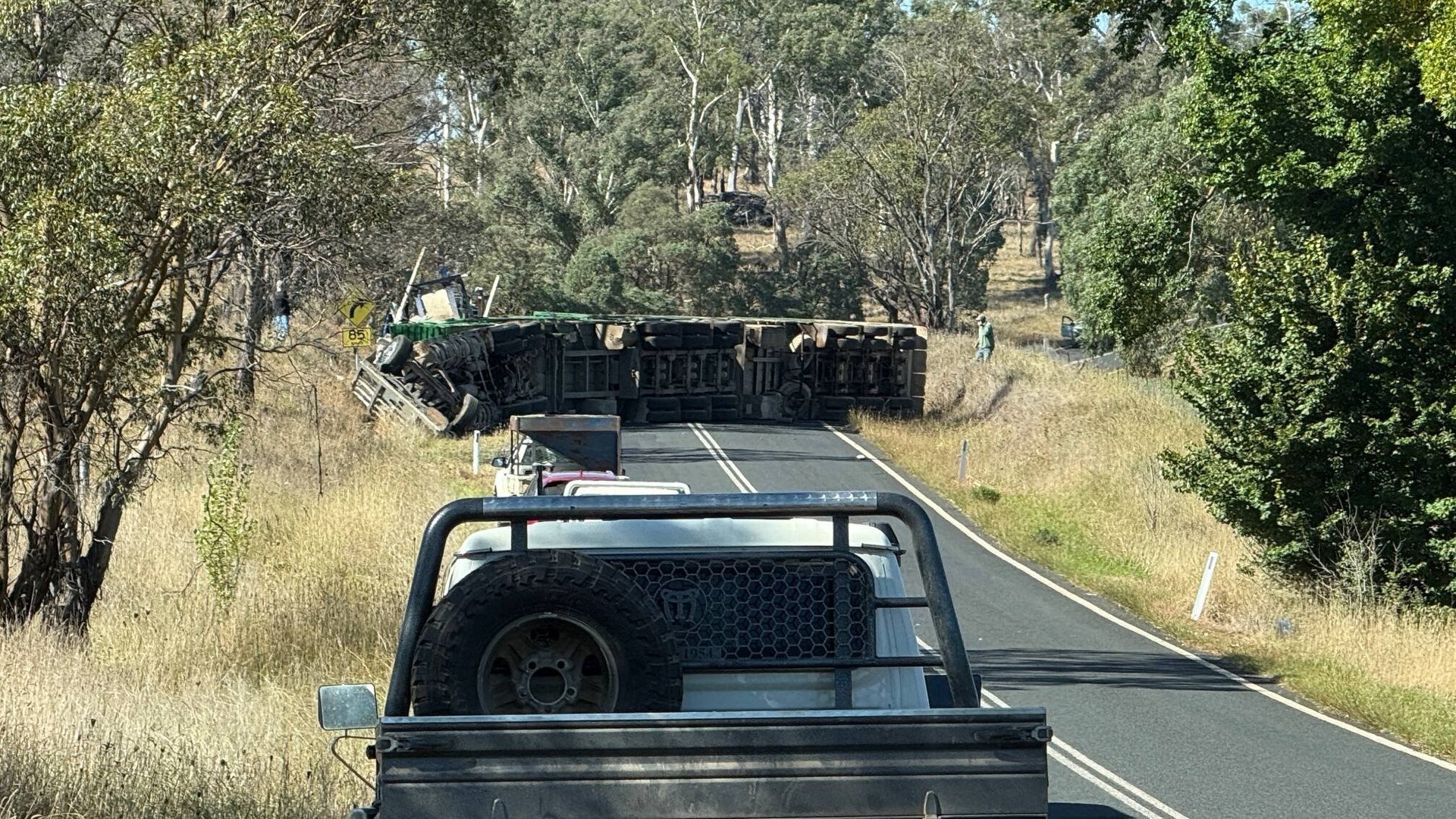 Cattle Truck Carnage Young Driver Killed, 35 Cattle Dead in NSW Horror Crash - Second Image