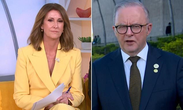 Fuel Crisis Grips Australia as Albanese Scrambles for Asian Lifeline - Second Image