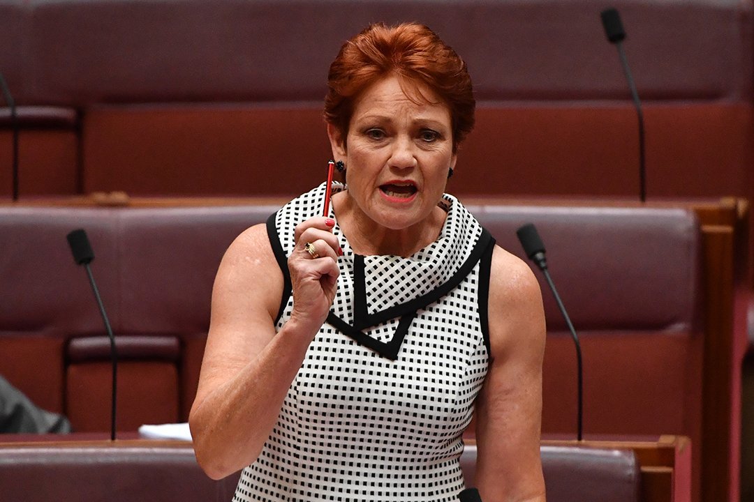 ONE NATION'S PRIMARY VOTE PLUMMETS IN SHOCK POLL SLUMP - Second Image