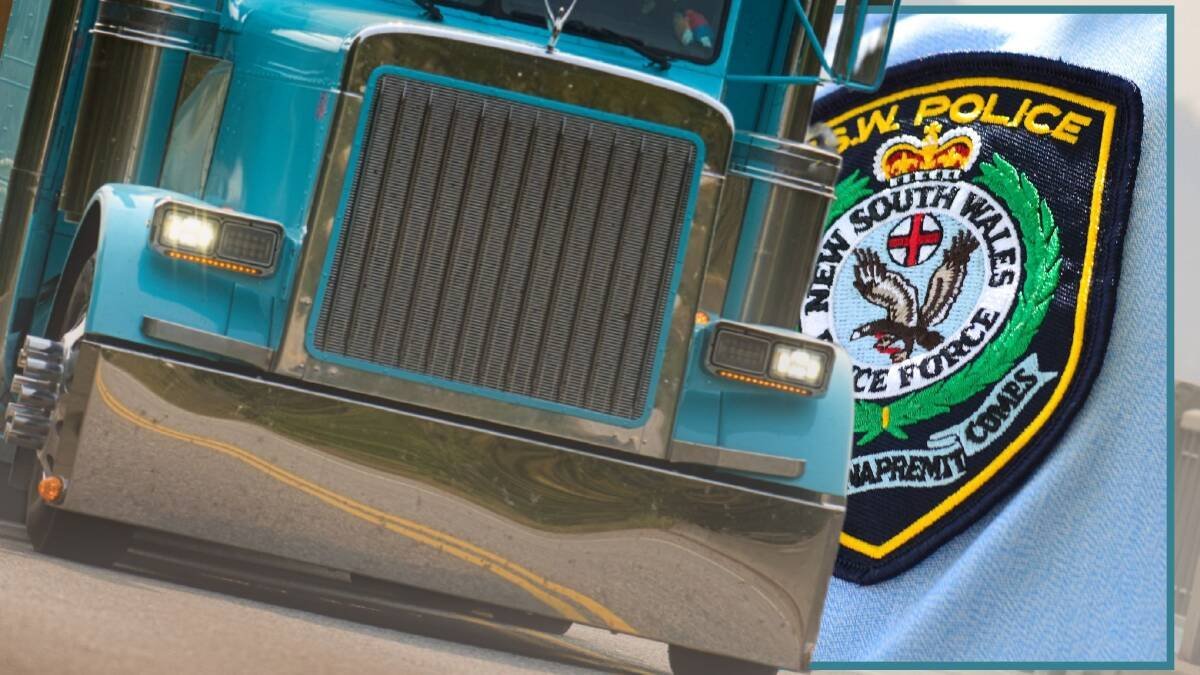 BLOODY SHEEP SLAUGHTER Hundreds Dead in Oxley Highway Truck Crash - Second Image