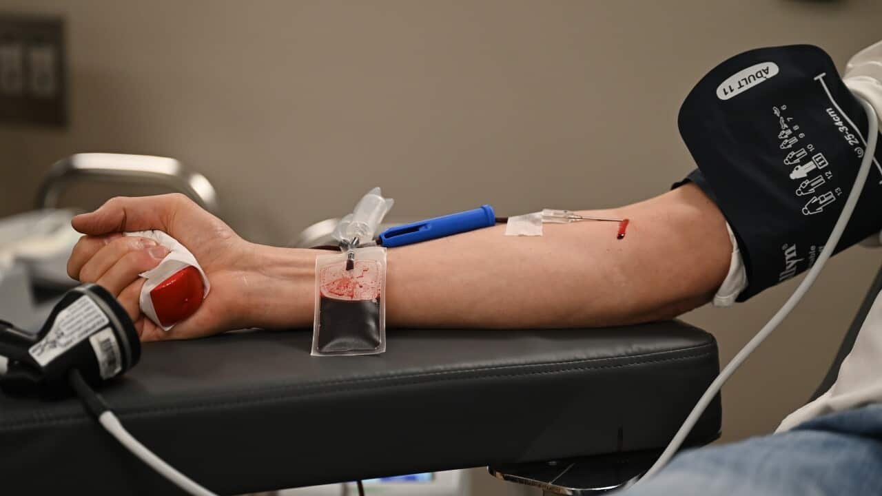 Landmark Rule Change Unlocks Blood Donations for Thousands of LGBTQIA+ Aussies - Second Image