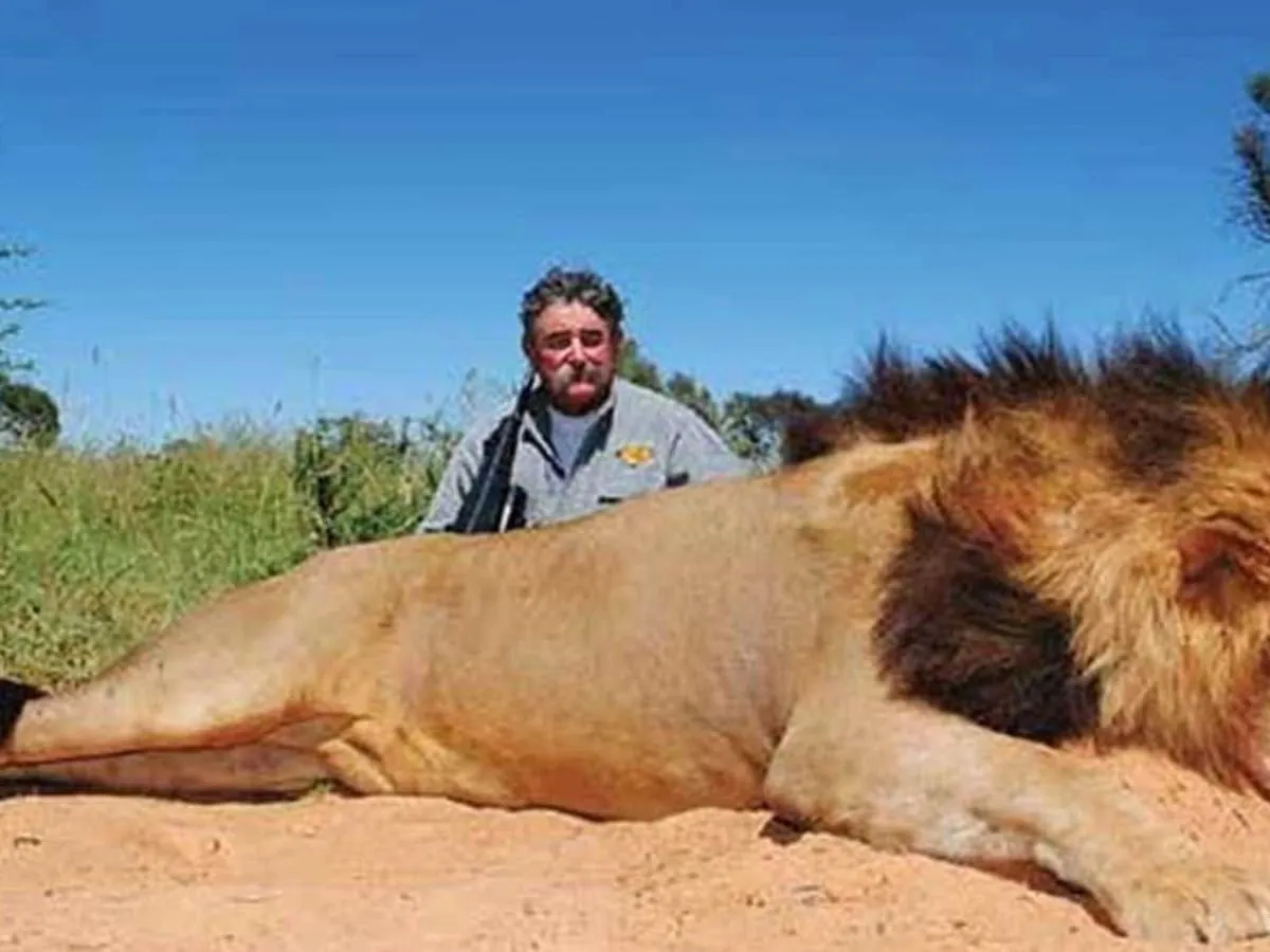 Trophy Hunter Trampled to Death by Elephants in Gabon - Second Image