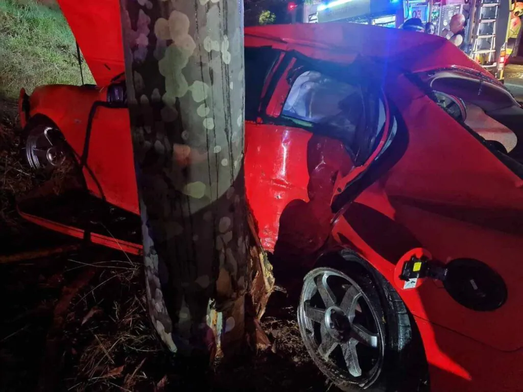 Tragedy Strikes Man Killed in Horror Tree Crash