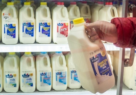  Farmers Warn of Milk Price Explosion Amid Industry Collapse Fears - Second Image